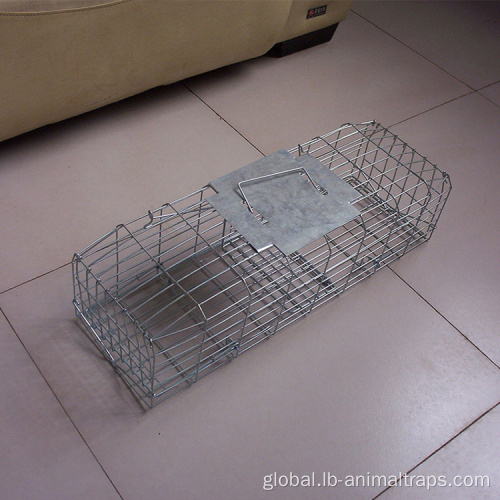 Live Coyote Cage Trap For Outdoors Collapsible Bird Cage Live Coyote Cage Trap Supplier